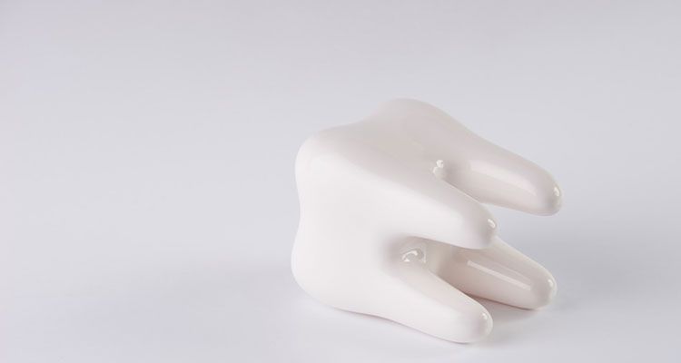 © Gecko Studio - stock.adobe.com